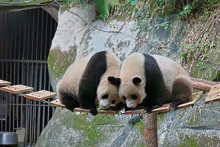 新年快乐，帕托分享昔日在中国的照片送新春祝福